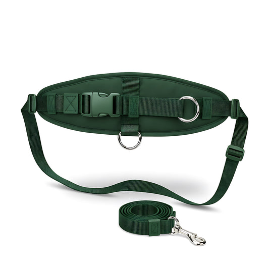 Hands-Free Dog Leash with Waist Belt Adjustable Running Walking Bungee Lead for Dogs