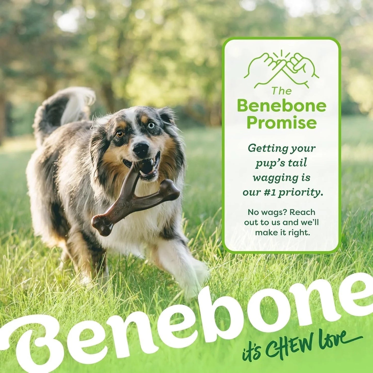 Benebone Wishbone Durable Toy ForDogs, For Heavy Chewers, Bacon Flavor