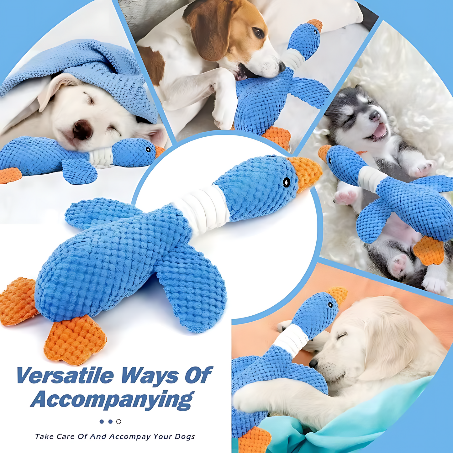 Interactive Plush Chew Toy for Dogs & Cats – Squeaky & Durable Design