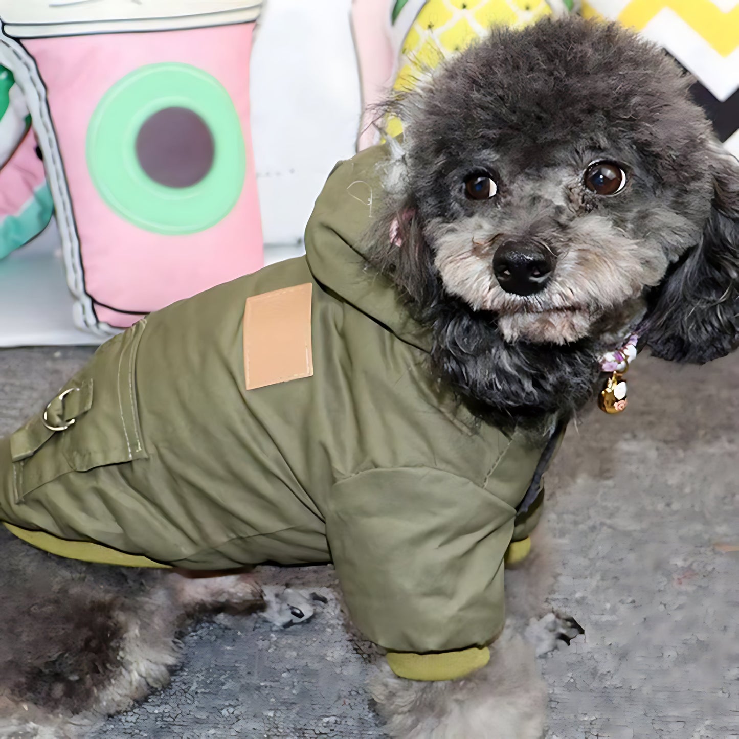 Winter Puppy Dog Coat – Thick Warm Hoodie Jacket for Small & Medium Dogs